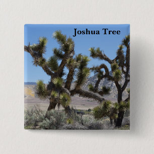 Josua-Baum in Kalifornien Button