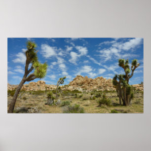 Josua-Bäume und blauer Himmel - Wüstenlandschaft Poster