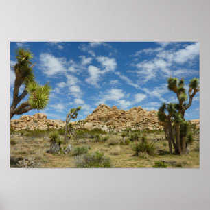 Josua-Bäume und blauer Himmel - Wüstenlandschaft Poster