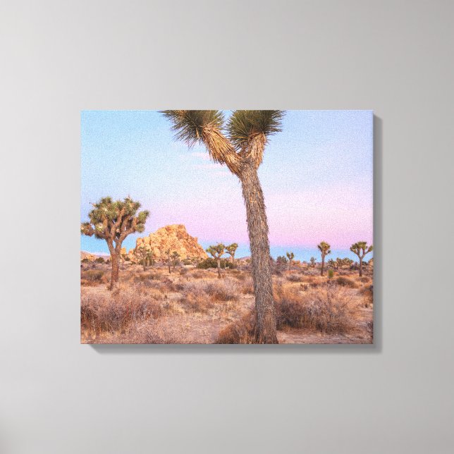 Josua Trees Sunrise Leinwanddruck (Vorderseite)