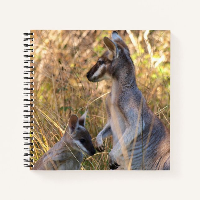 Journal mit Koala und Wallabies in Australien Notizbuch (Vorderseite)