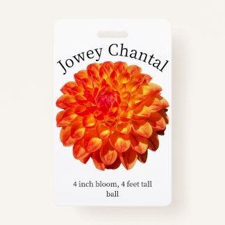 Jowey Chantal Dahlia ID Abzeichen Ausweis