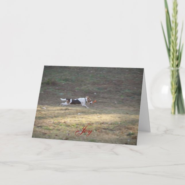 Joy - 2012 feiertagskarte (Vorderseite)