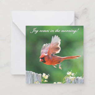 Joy kommt in der Vormittagskarte Mitteilungskarte