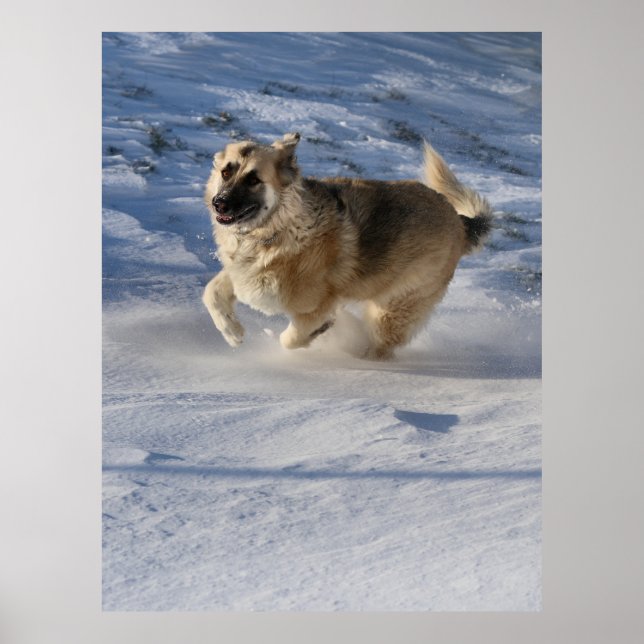 Joy on Motion Poster (Vorne)