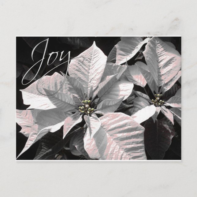 Joy Postkarte (Vorderseite)