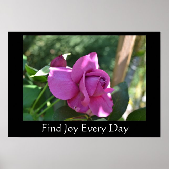 Joy Rose Inspiration Poster suchen (Vorne)
