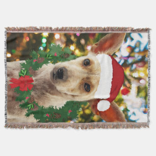 Joy to the Puppy Decke