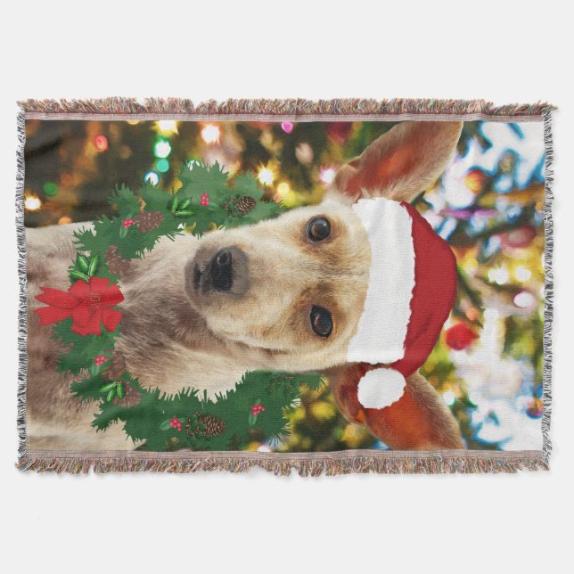 Joy to the Puppy Decke (Vorderseite)