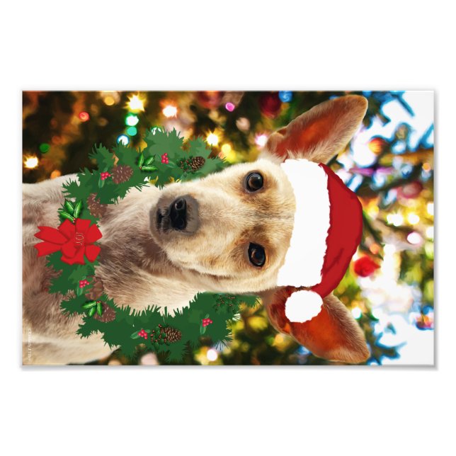 Joy to the Puppy Fotodruck (Vorne)