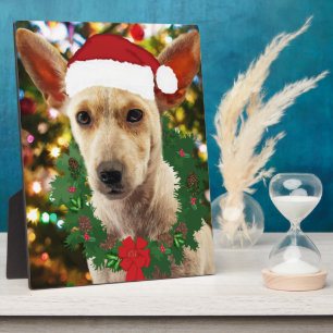 Joy to the Puppy Fotoplatte