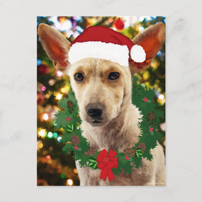 Joy to the Puppy Postkarte (Vorderseite)