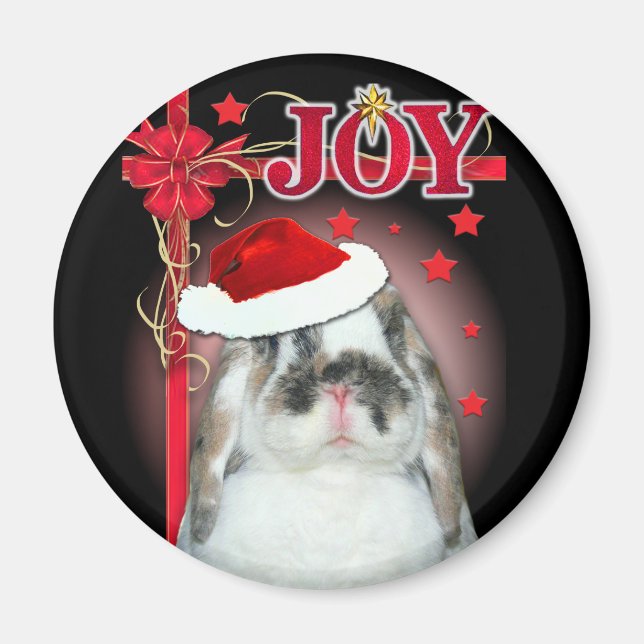 Joy Xmas Magnet (Vorne)