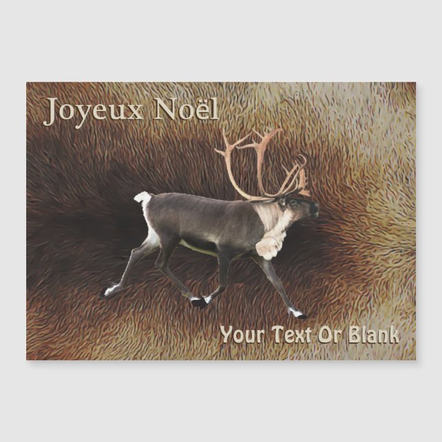 Joyeux Noё l - Bull Caribbean (Reindeer) Magnetkarte (Vorderseite)