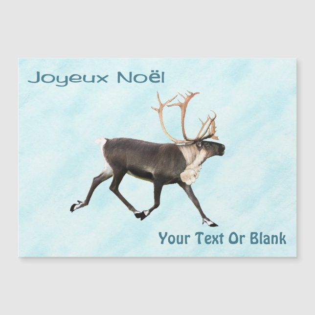 Joyeux Noё l - Karibik (Rentier) on Snow Magnetkarte (Vorderseite)