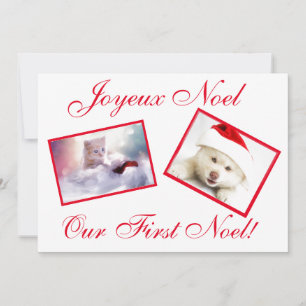Joyeux Weihnachten Best Friends Pets First Weihnac