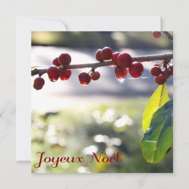 Joyeux Weihnachten Square Card (Vorderseite)