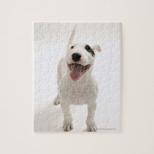 Joyful Bull Terrier Puzzle