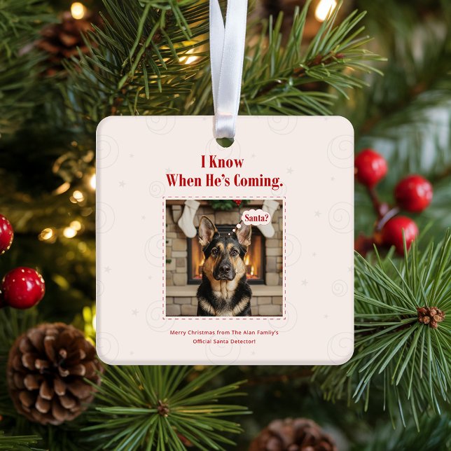 Joyful Funny Dog Pet Photo Christmas Holiday Keramikornament (Von Creator hochgeladen)