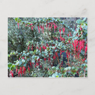 JOYFUL JANUARY! POSTKARTE