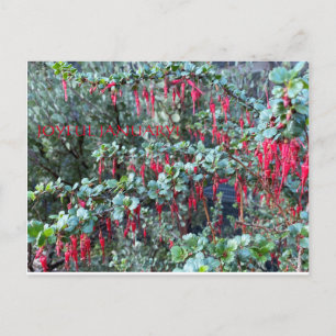 JOYFUL JANUARY! POSTKARTE
