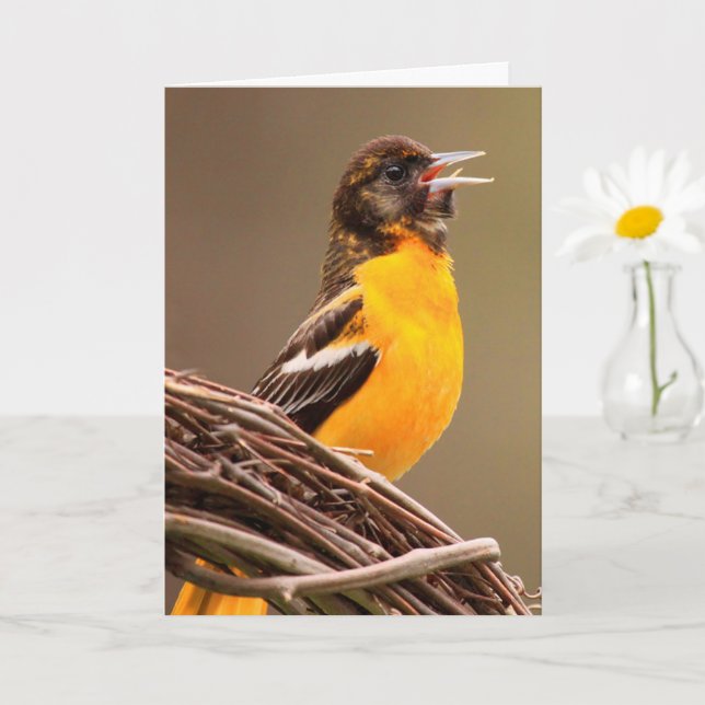 Joyful Oriole Birthday Karte (Kleine Pflanze)