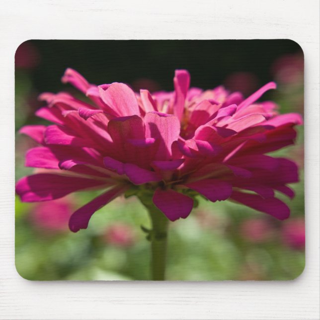 Joyful Zinnia Mousepad (Vorne)