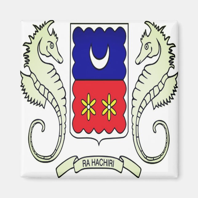 JT001 MAYOTTE, Flag, Afrika, Kühlschrank Magnet (Vorne)