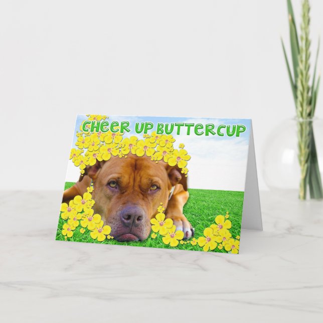 Jubeln Sie oben Butterblume zu! Karte (Vorderseite)