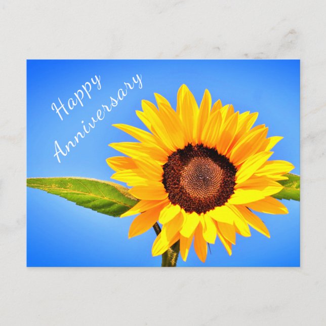 Jubiläum Postcard Gelbe Sonnenblume auf blauem Him Postkarte (Vorderseite)