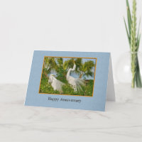 Jubiläum, zwei großartige Vögel