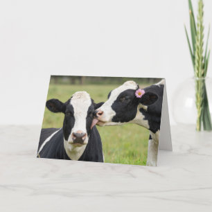 Jubiläums-Holstein-Kuh küsst auf der Weide Karte