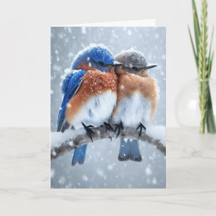 Jubiläumsbluebirts im Schnee Karte