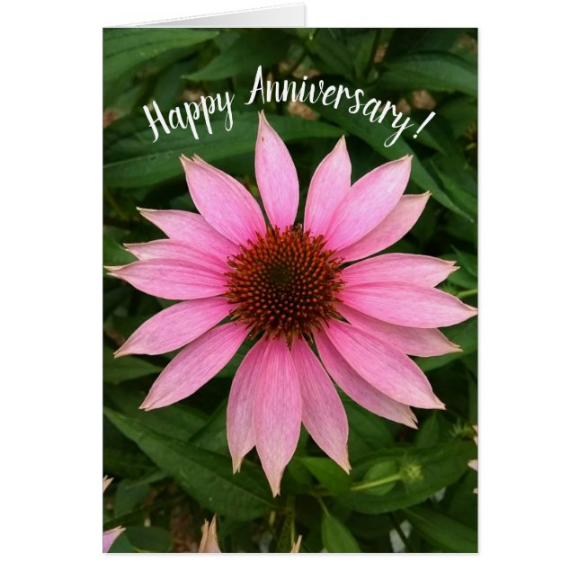 Jubiläumskarte für den Lila Schatten (Vorne)