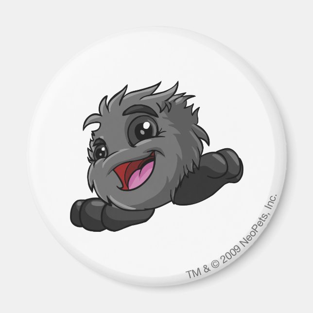 JubJub Shadow Magnet (Vorne)