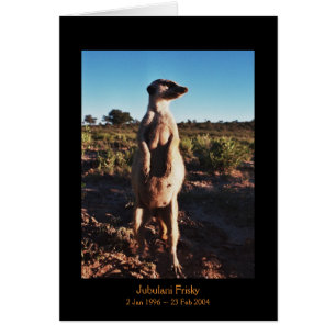 Jubulani Frisky - Legenden-Karte