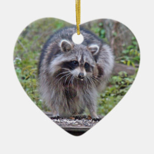 Juckender und kratzender Waschbär Keramikornament