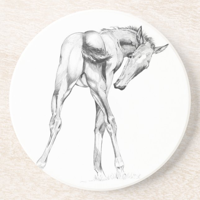 Juckreiz Sandstein Untersetzer (Vorne)