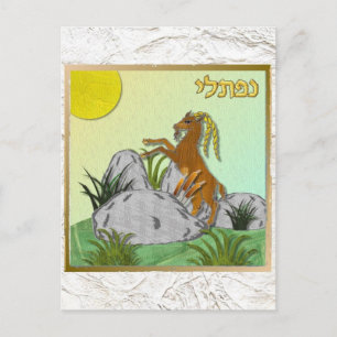 Judaica 12 Stämme Israel Naphtali Postkarte