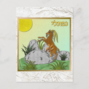 Judaika 12 israelische Naphtali-Stämme Postkarte