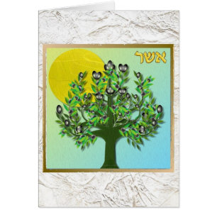 Judaika 12 Stämme Israel Asher