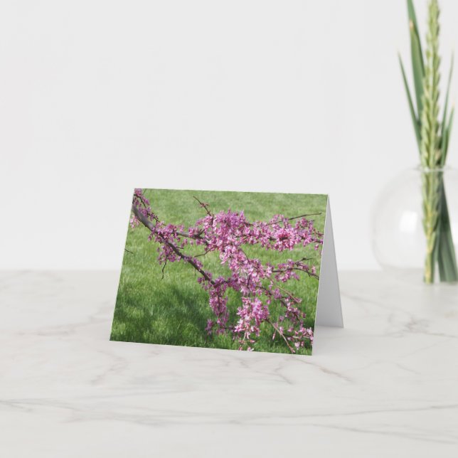 Judasbaum Dankeskarte (Vorderseite)