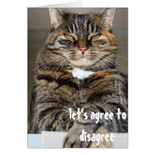 Judgmental Angry Cat Funny vereinbart, widersprech