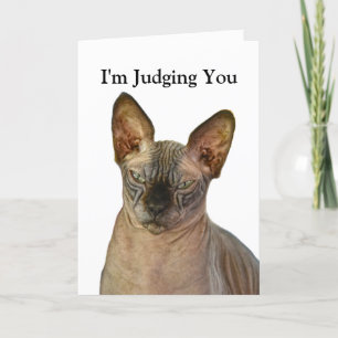 Judgmental Sphinx Cat Happy Birthday Dankeskarte