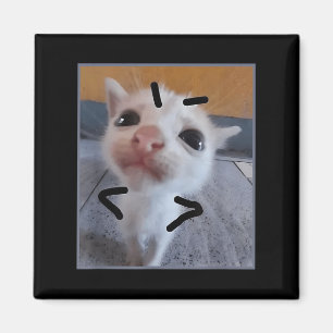 Judgy Kitty Funny Cat Lover Angry Kitten Meme Nied Magnet