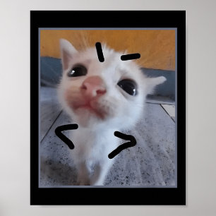 Judgy Kitty Funny Cat Lover Angry Kitten Meme Nied Poster