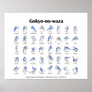 Judo throws poster