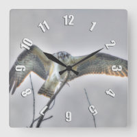Jugendliche Osprey Fisch-Eagle Tier-Foto-Uhr