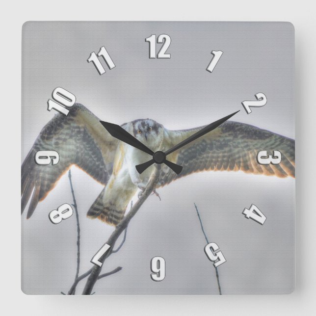 Jugendliche Osprey Fisch-Eagle Tier-Foto-Uhr Quadratische Wanduhr (Vorderseite)