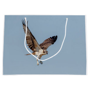 Jugendlicher Osprey im Flug Große Geschenktüte